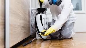 Best Fumigation Services  in Lake Como, NJ